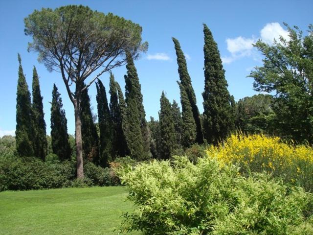 Al Giardino Degli Etruschi