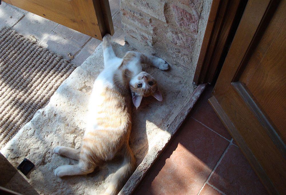 Al Giardino Degli Etruschi * Chiusi